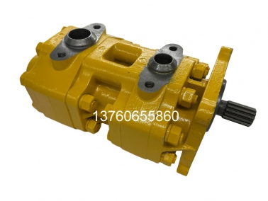SD16双(shuang)联(lian)泵